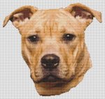 (image for) Tan Pit Bull